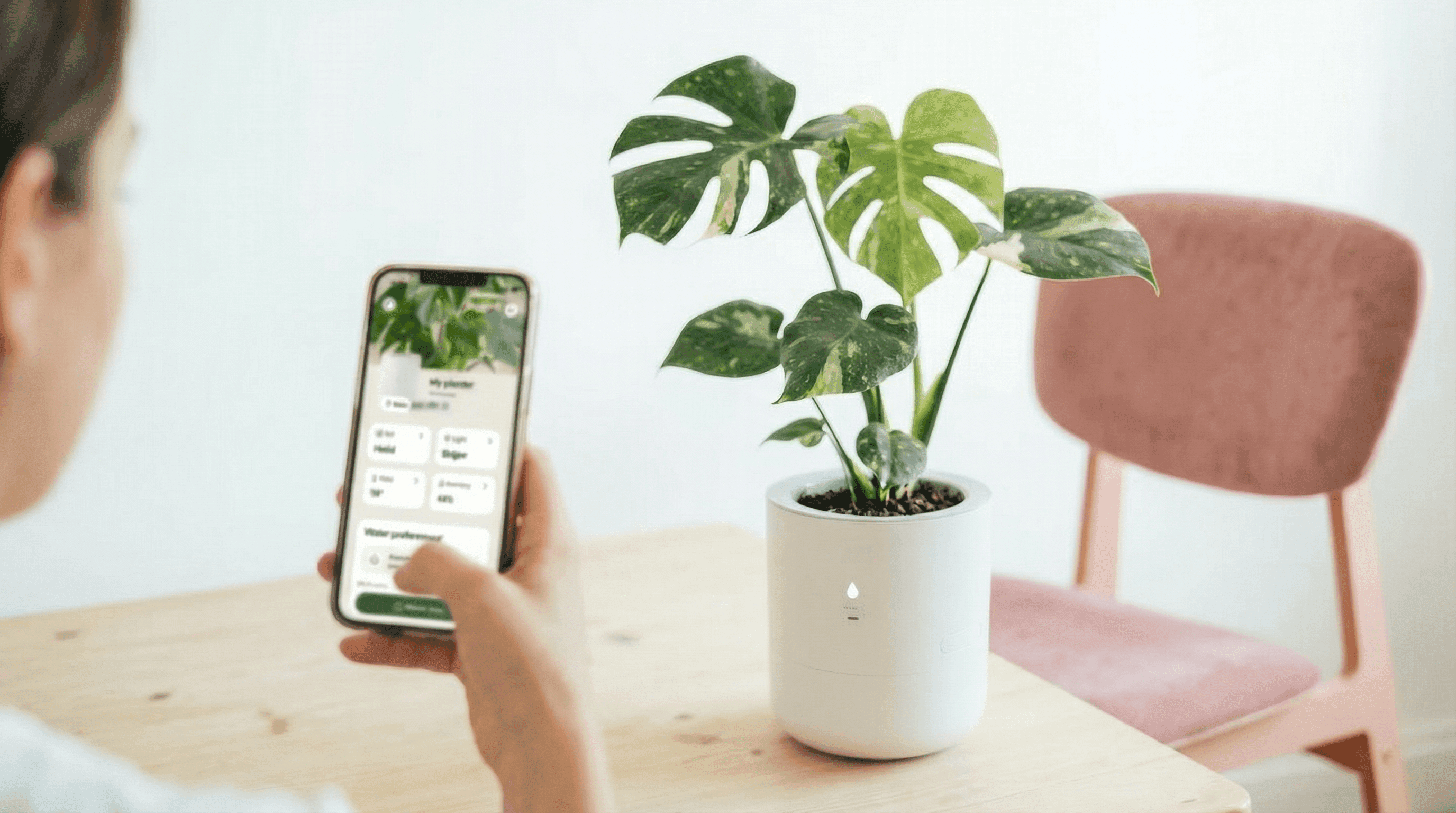 LeafyPod smart planter with app and sensor