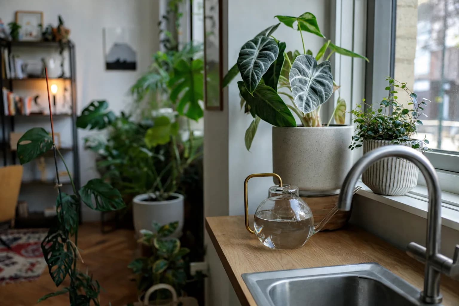 Is Tap Water Bad for Houseplants? | LeafyPod