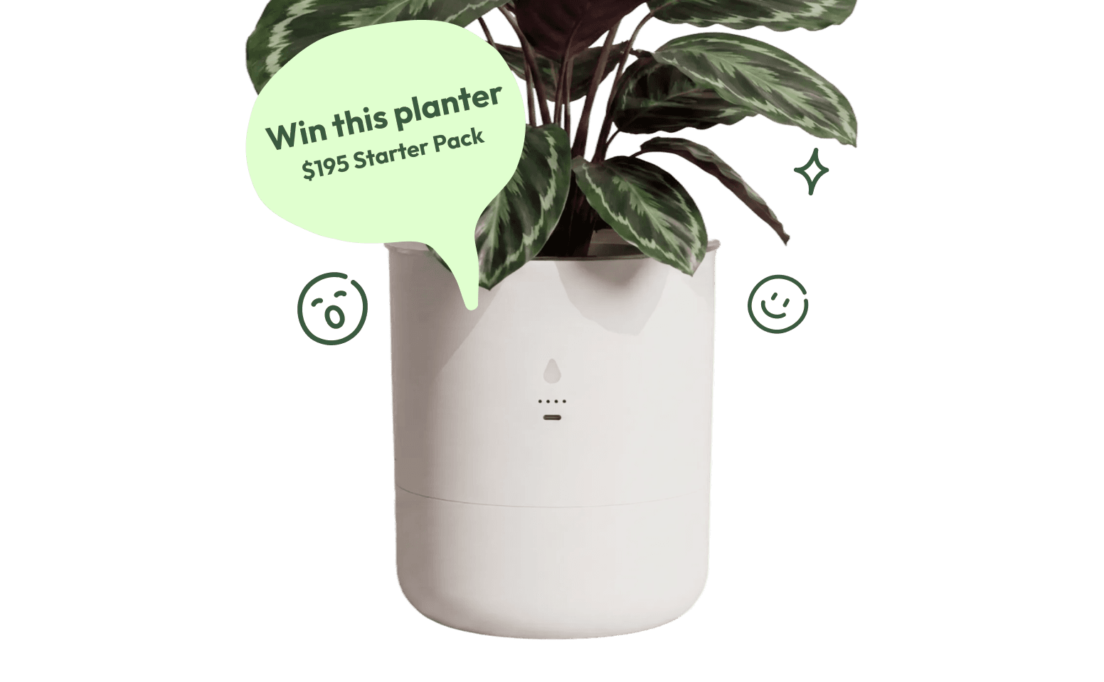 Win this planter — $195 Starter Pack