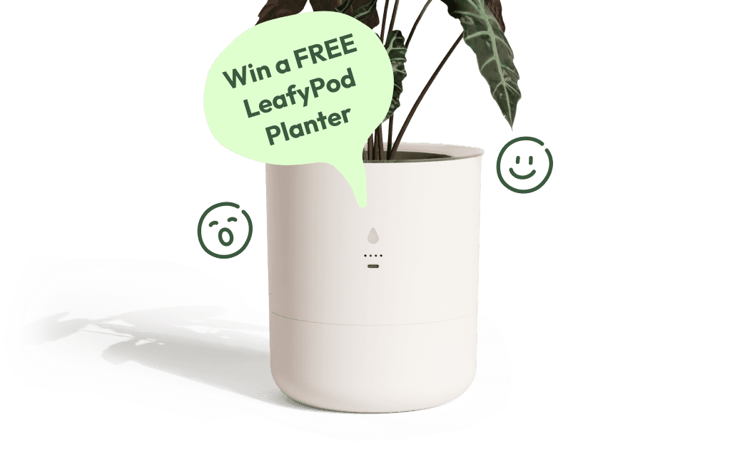 Win a FREE LeafyPod Planter