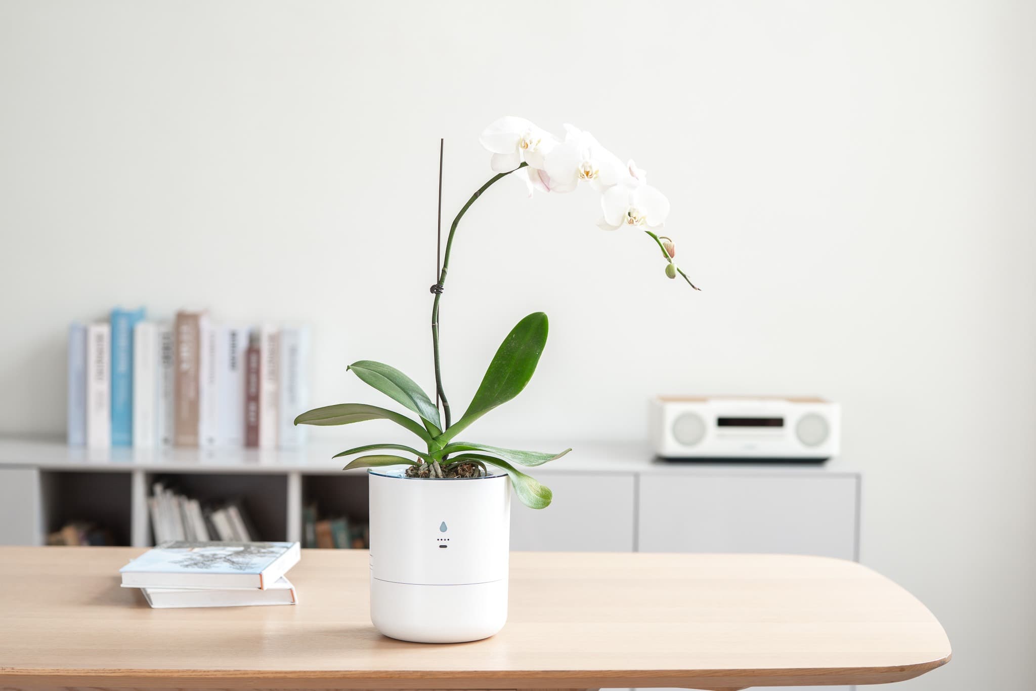 LeafyPod Smart Planter reasons to buy