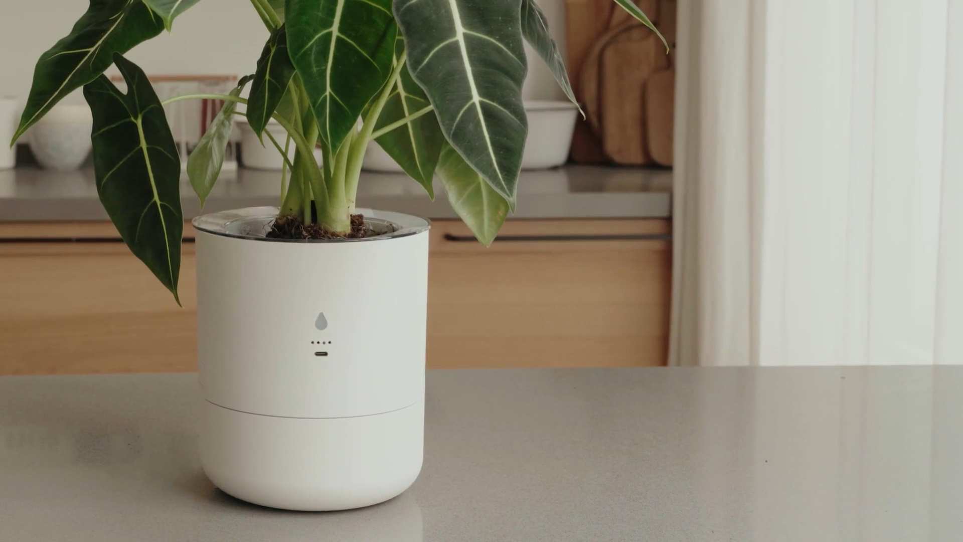 LeafyPod smart planter