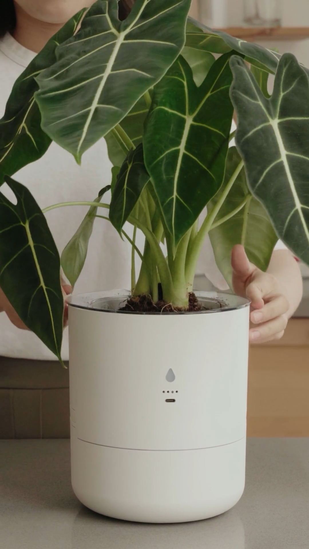 LeafyPod smart planter